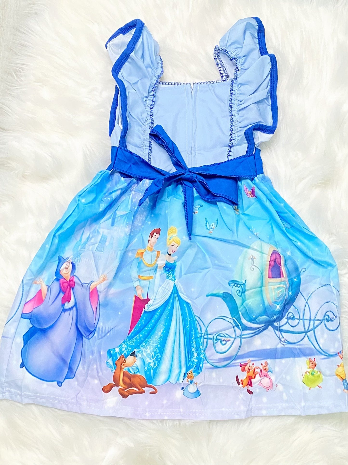 Cinderella Princess Panel Dress - Nico Bella Boutique