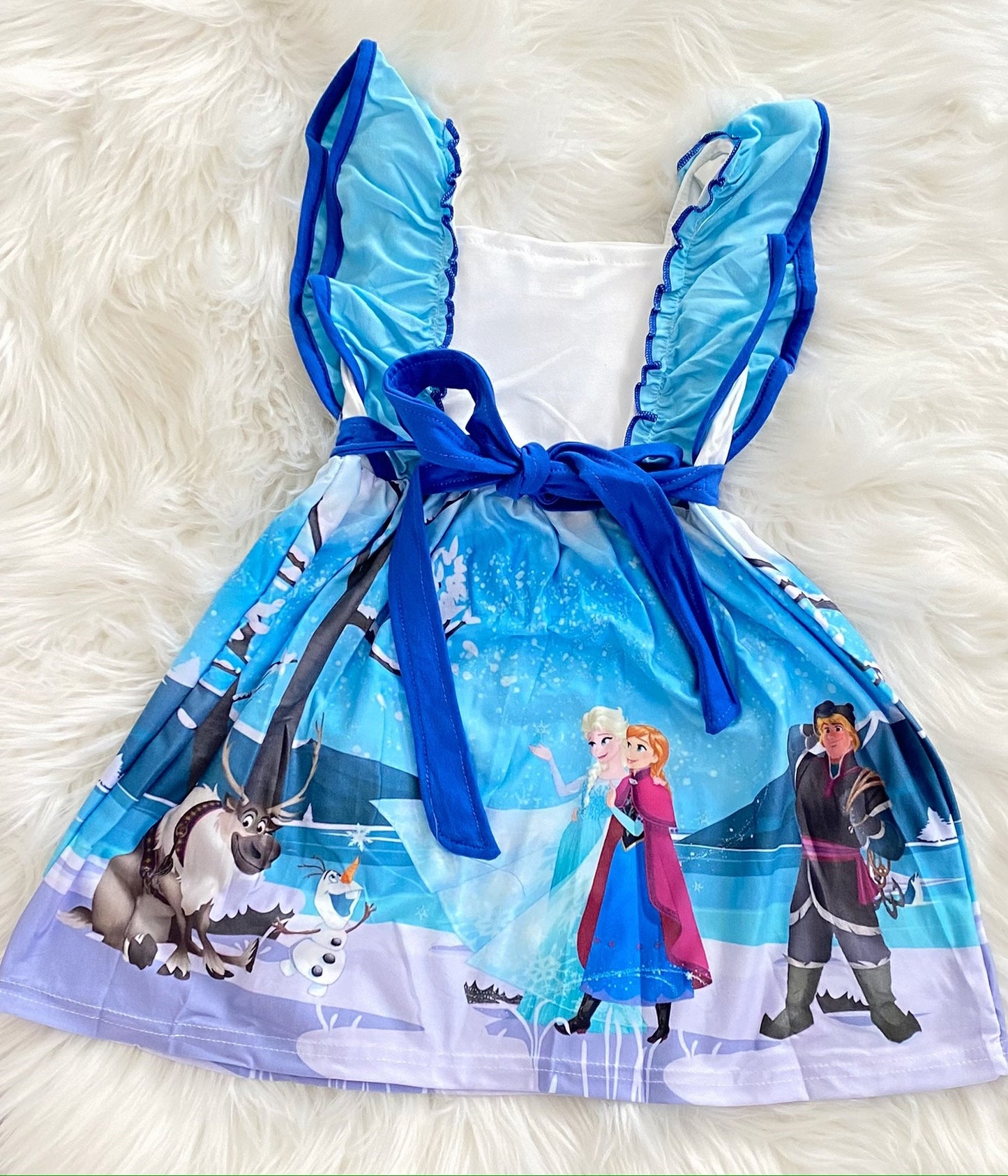 Frozen Princess Panel Dress - Nico Bella Boutique